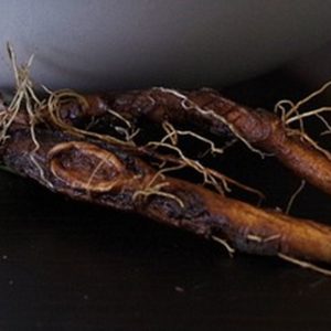 PISSENLIT RACINE Taraxacum Officinalis
